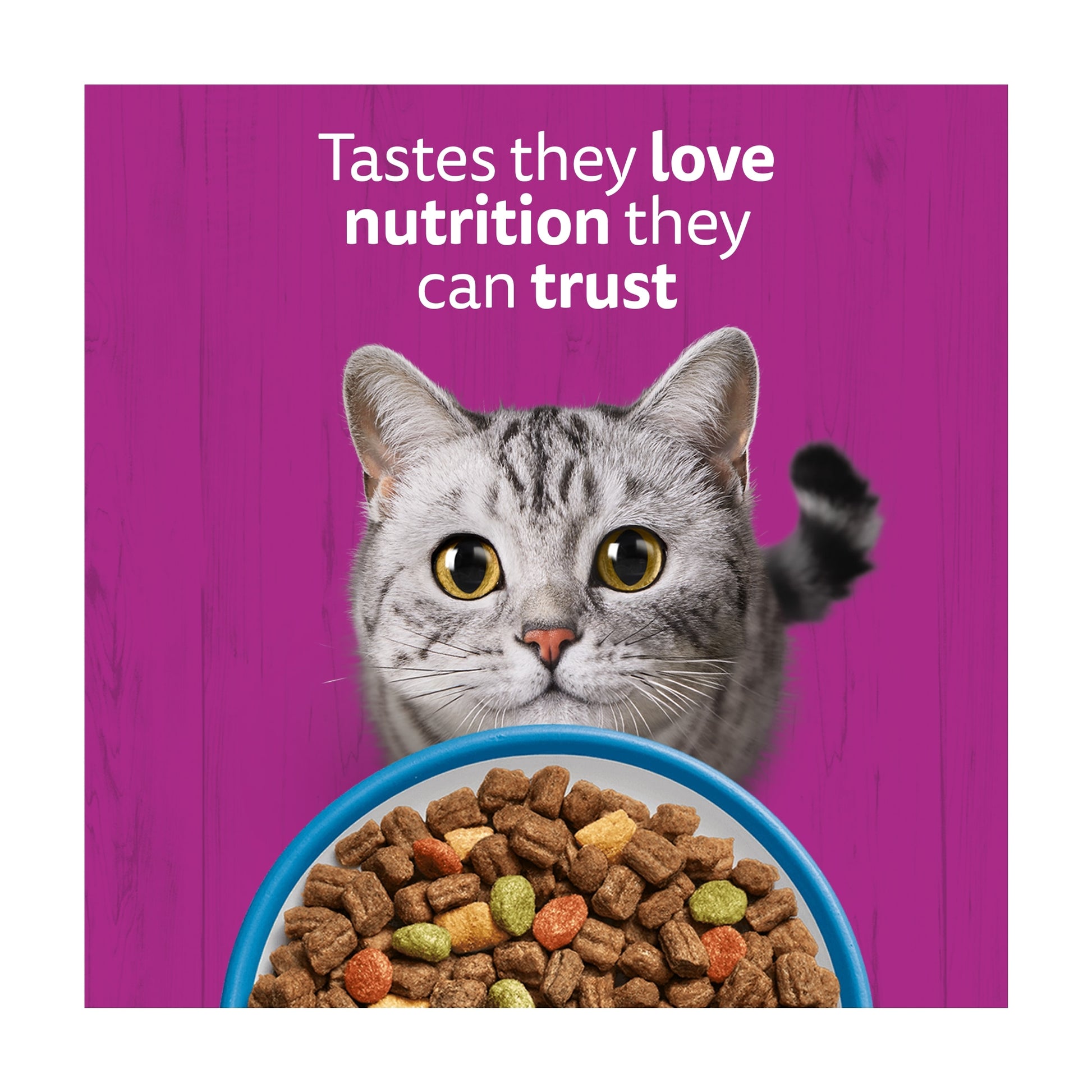 Whiskas 1+ Adult Dry Cat Food Biscuits Tuna 800g — image 4