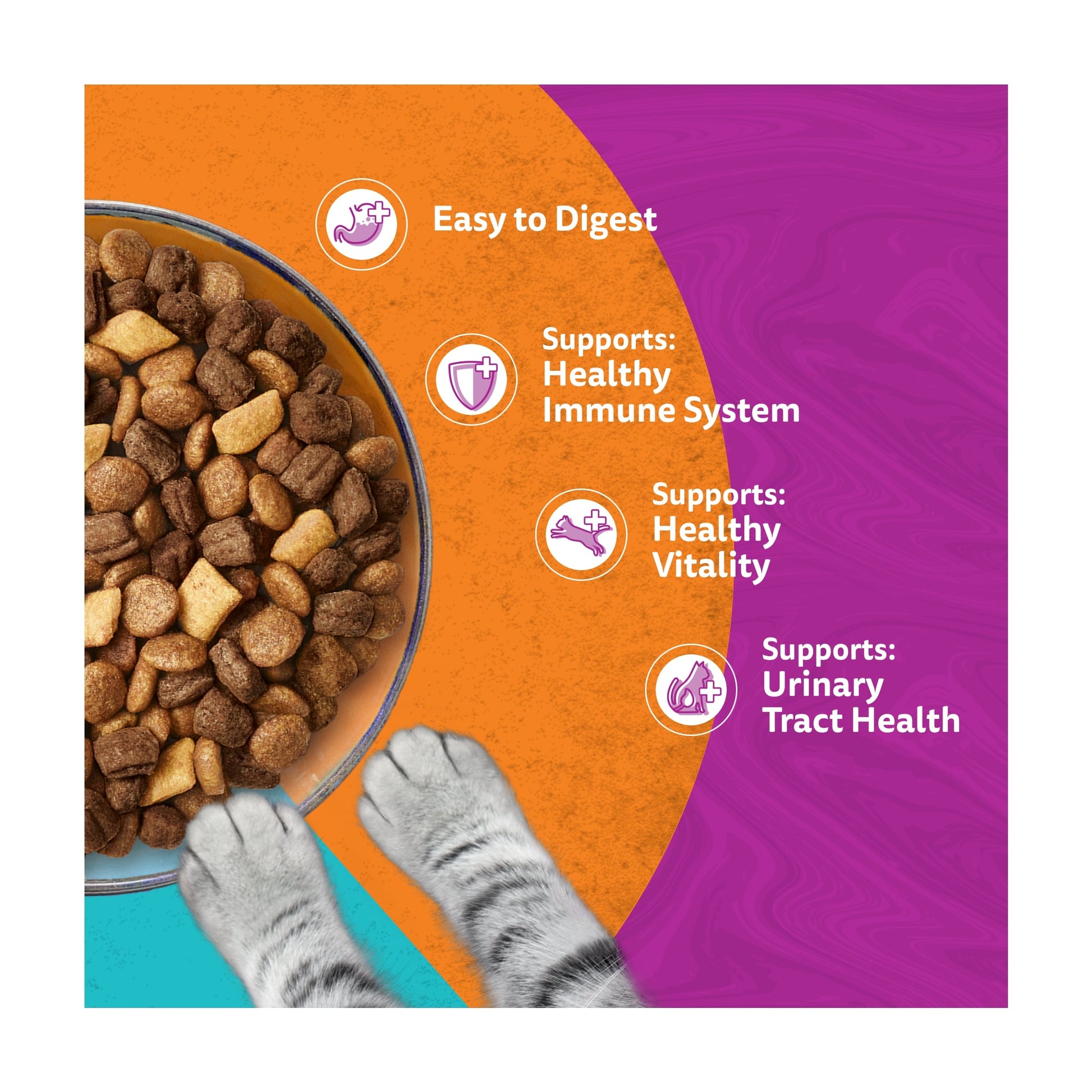 WHISKAS 1+ DUO Surf & Turf Dry Cat Food Biscuits 800g — image 3