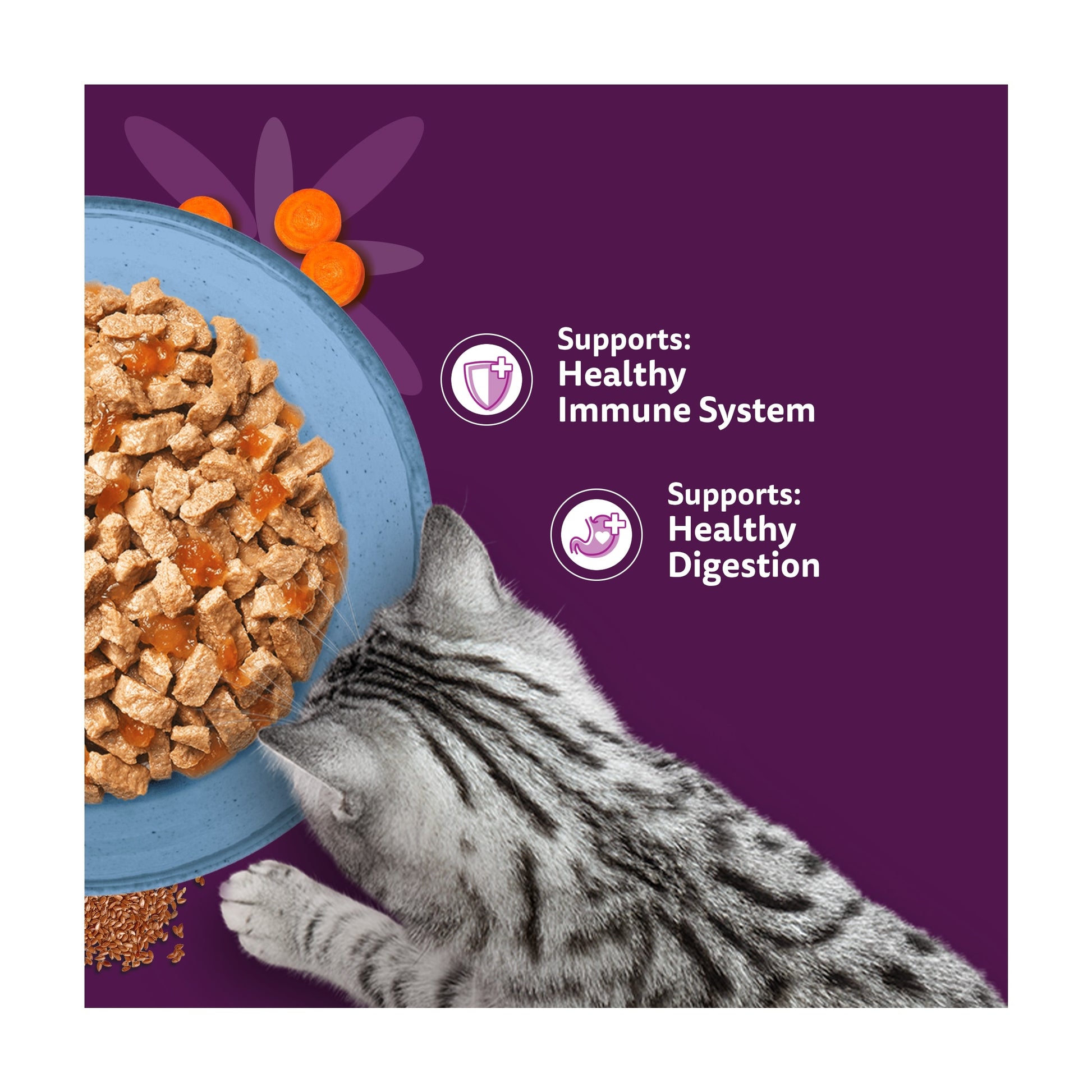 WHISKAS 1+ SUPERFOODS FISH Wet Cat Food Pouches in Jelly 6 x 50g — image 3