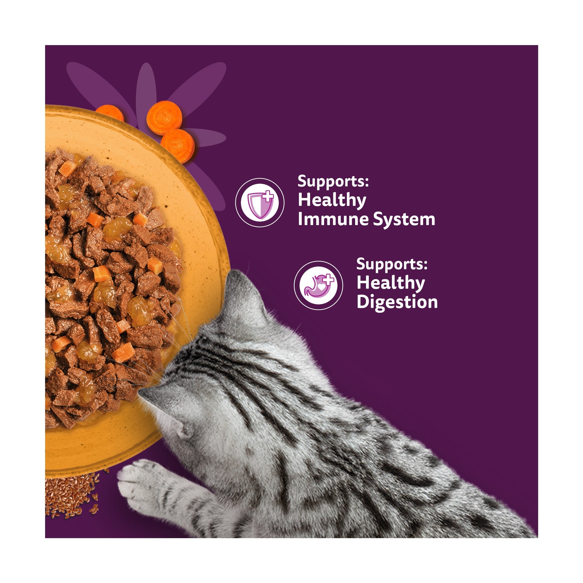 WHISKAS 1+ SUPERFOODS POULTRY Wet Cat Food Pouches in Jelly 6 x 50g — image 3
