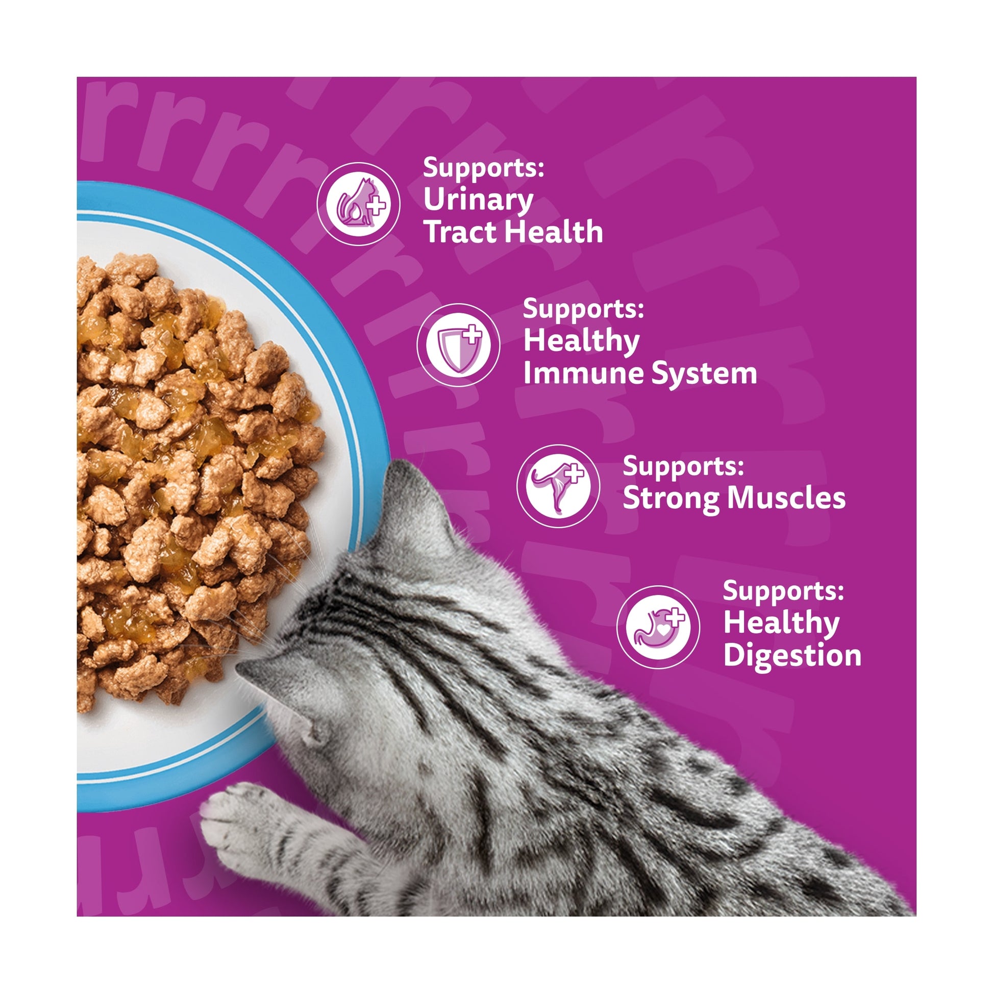 Whiskas 11+ Senior Wet Cat Food Fish Favourites in Jelly 12x85g — image 3