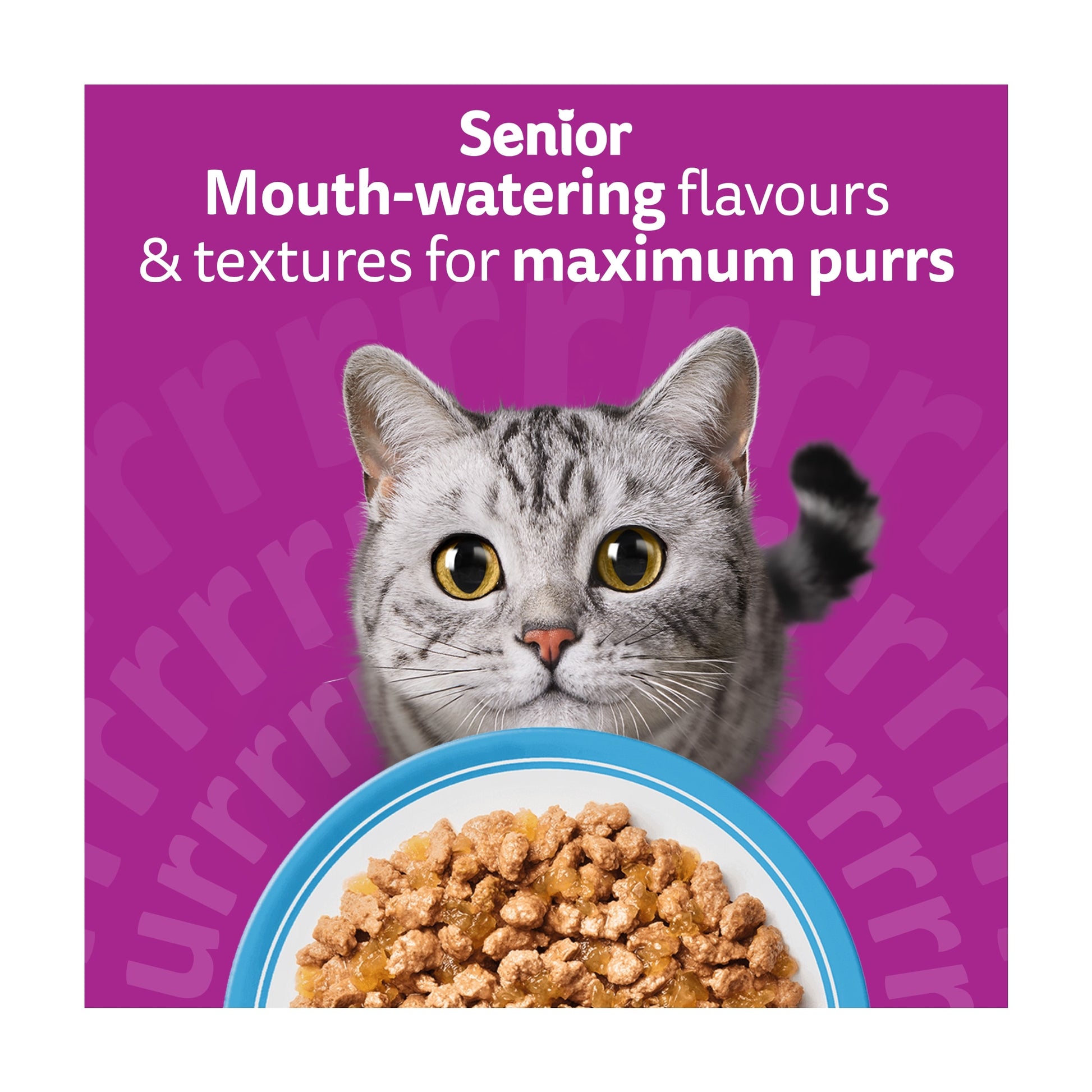 Whiskas 11+ Senior Wet Cat Food Fish Favourites in Jelly 12x85g — image 4