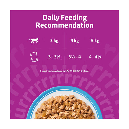 Whiskas 11+ Senior Wet Cat Food Fish Favourites in Jelly 12x85g — image 5