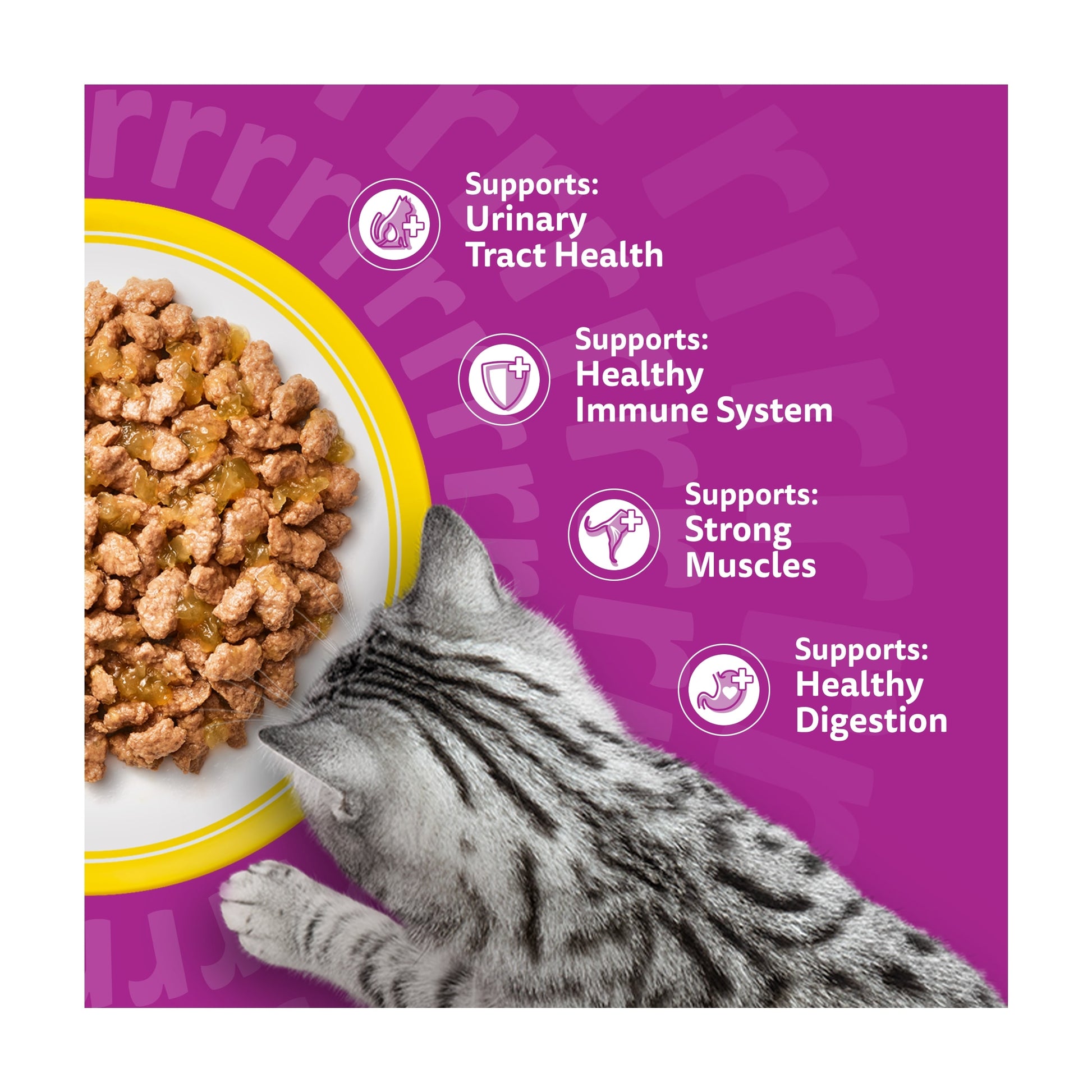 Whiskas 11+ Senior Wet Cat Food Poultry Feasts in Jelly 12x85g — image 3