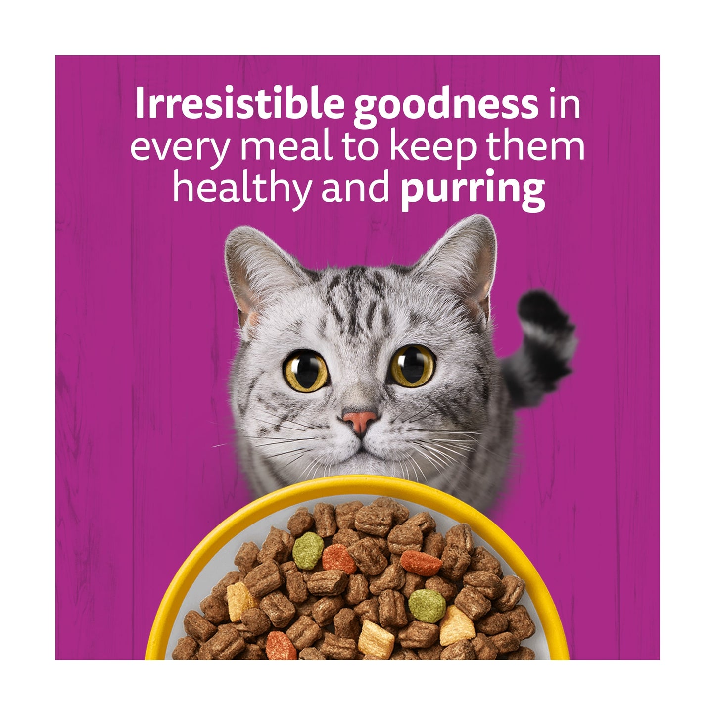 Whiskas 7+ Senior Dry Cat Food Biscuits Chicken 800g — image 4