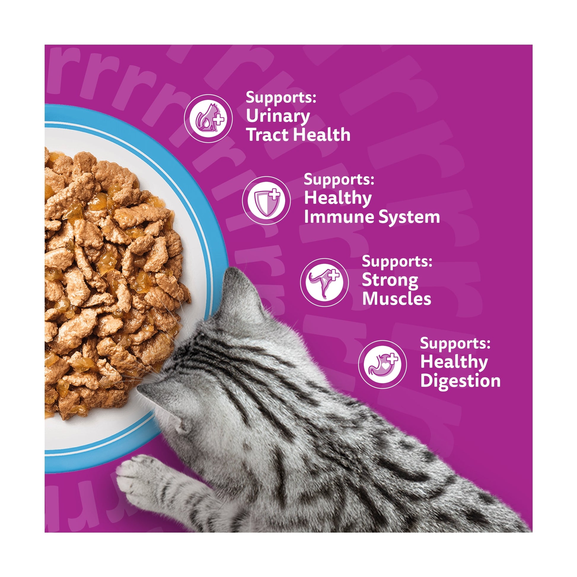 Whiskas 7+ Senior Wet Cat Food Fish Favourites in Jelly 12x85g — image 3