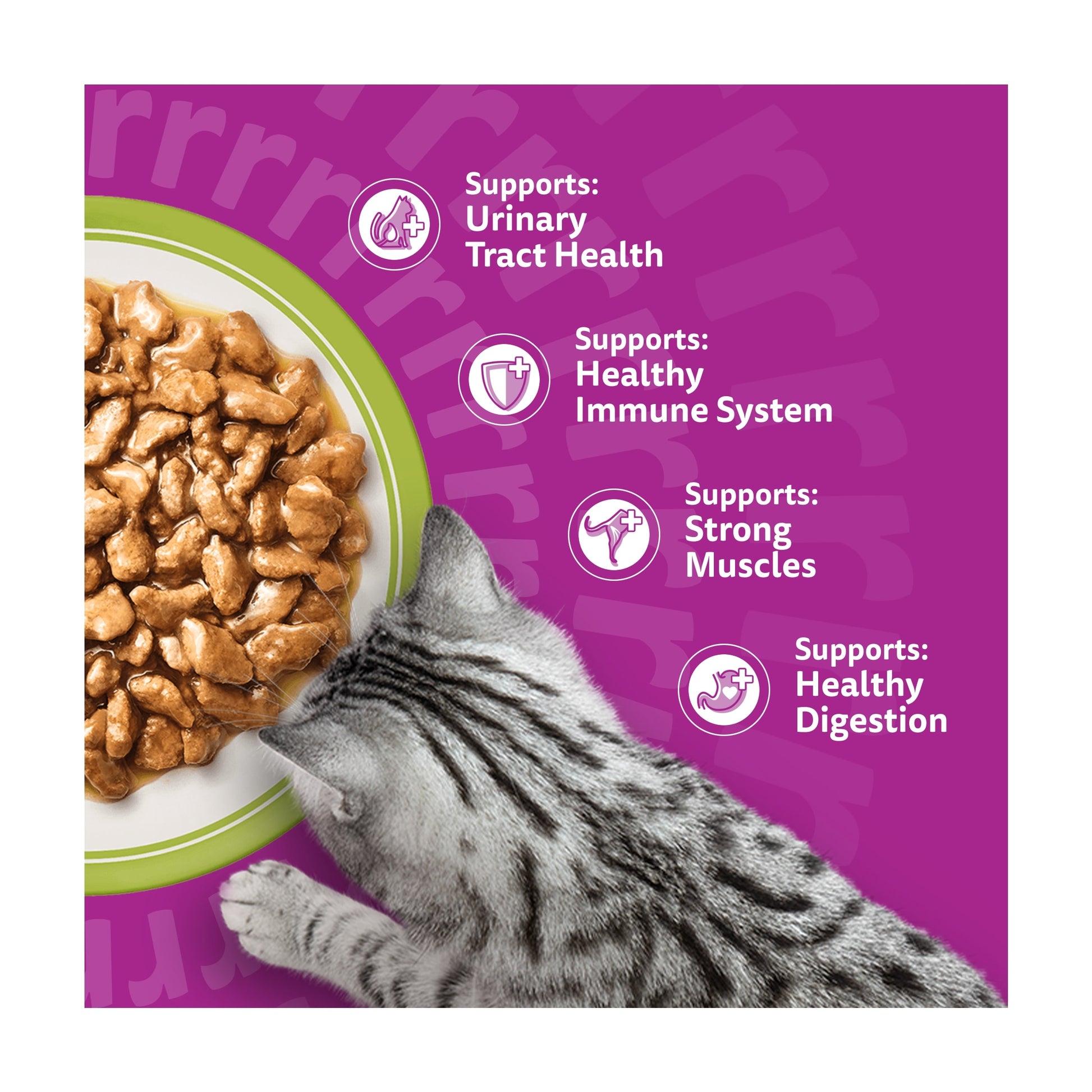 Whiskas 7+ Senior Wet Cat Food Pouches Mixed Menu in Gravy 12X85g — image 3