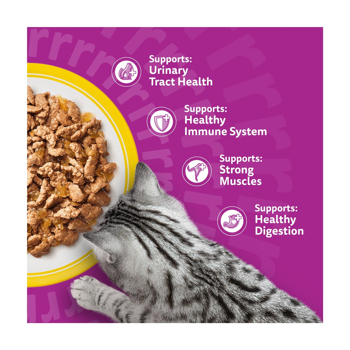 Whiskas 7+ Senior Wet Cat Food Pouches Poultry Feasts Jelly 40x85g — image 3