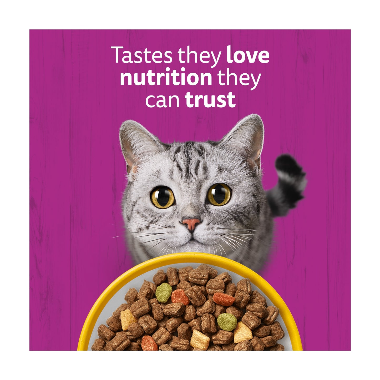 Whiskas Adult 1+ Dry Cat Food Biscuits Chicken 1.9Kg — image 4
