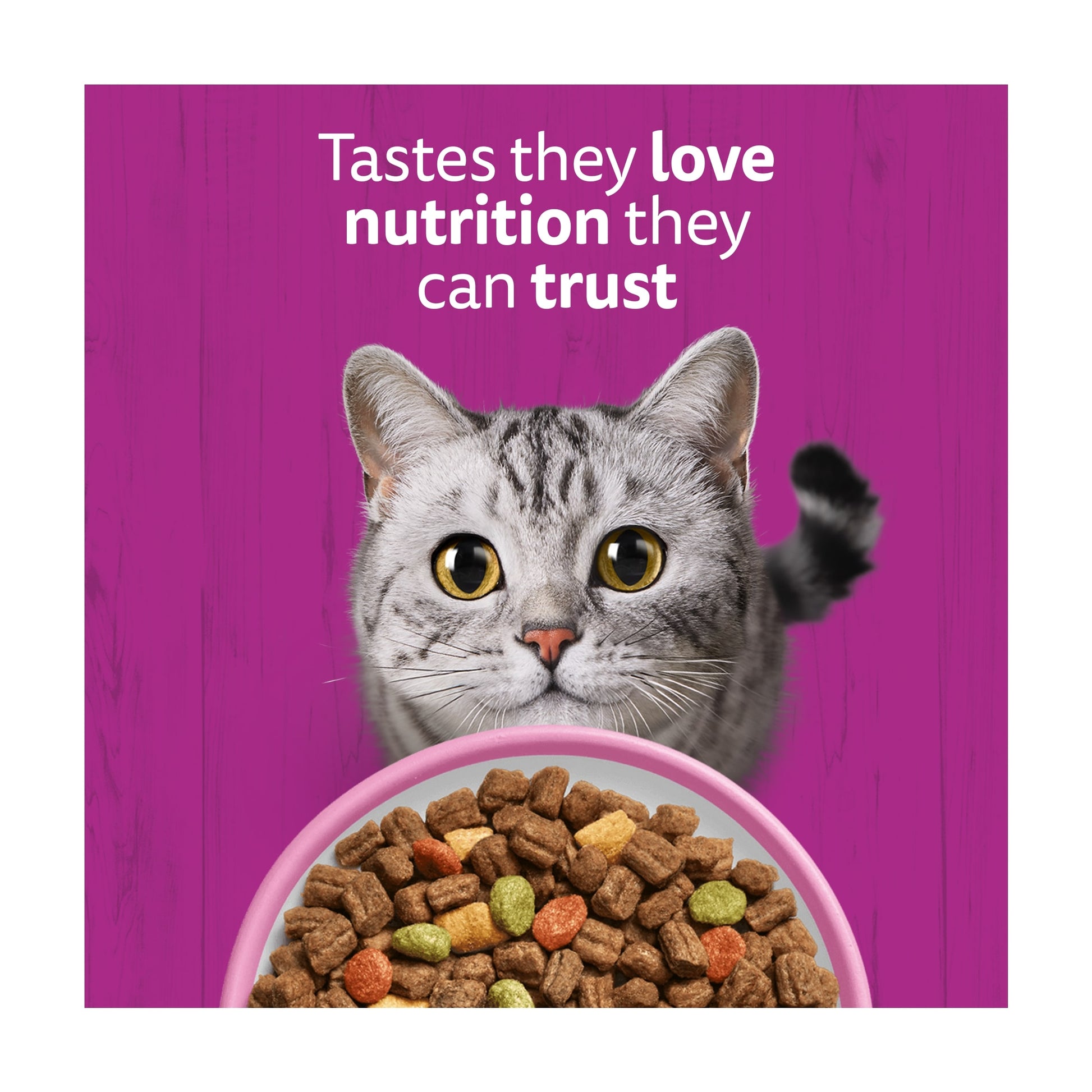Whiskas Adult 1+ Dry Cat Food Biscuits Salmon 1.9Kg — image 4