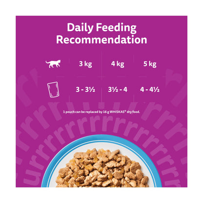 Whiskas Adult Wet Cat Food Pouches Fish Favourites in Jelly 12x85g — image 5