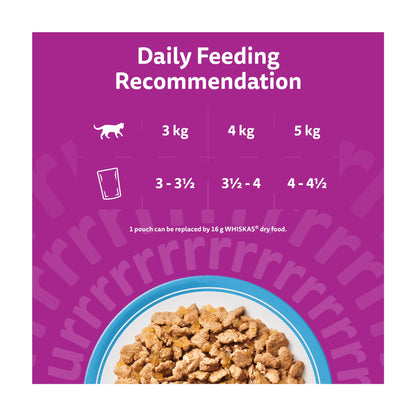 Whiskas Adult Wet Cat Food Pouches Fish Favourites in Jelly 40x85g — image 5