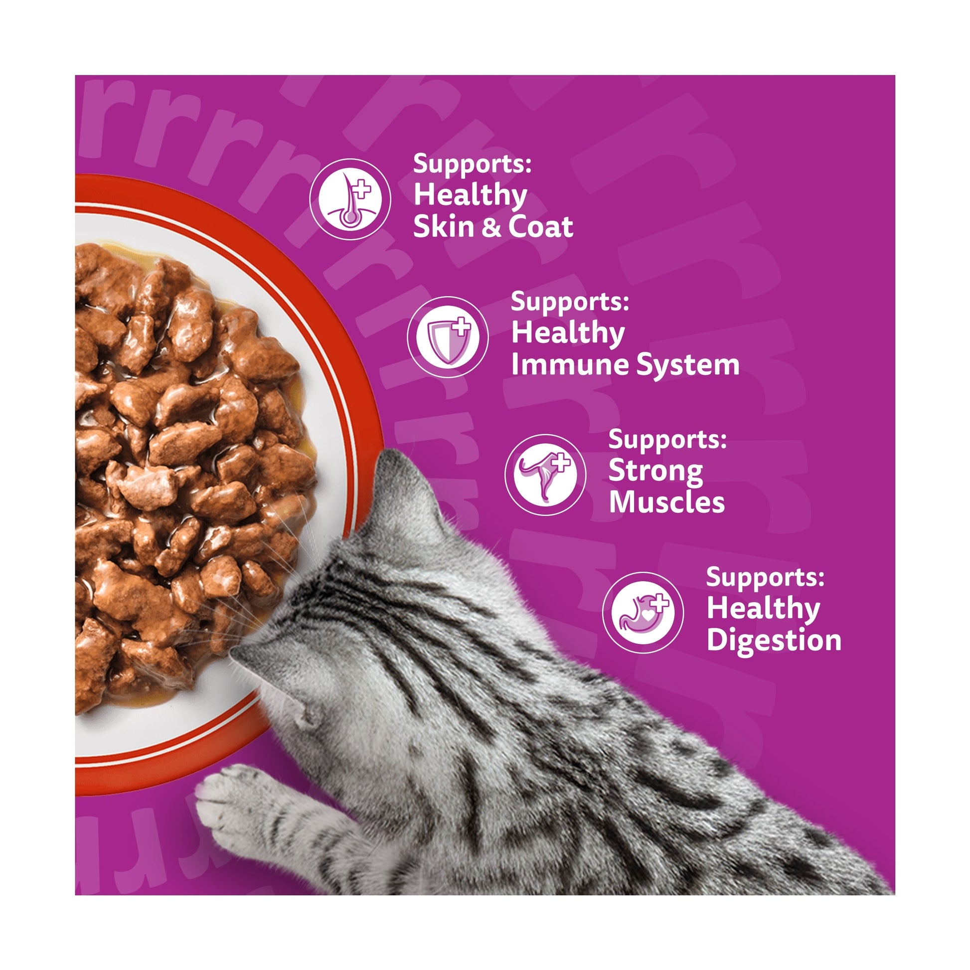 Whiskas Adult Wet Cat Food Pouches Meaty Meals in Gravy 12x85g — image 3