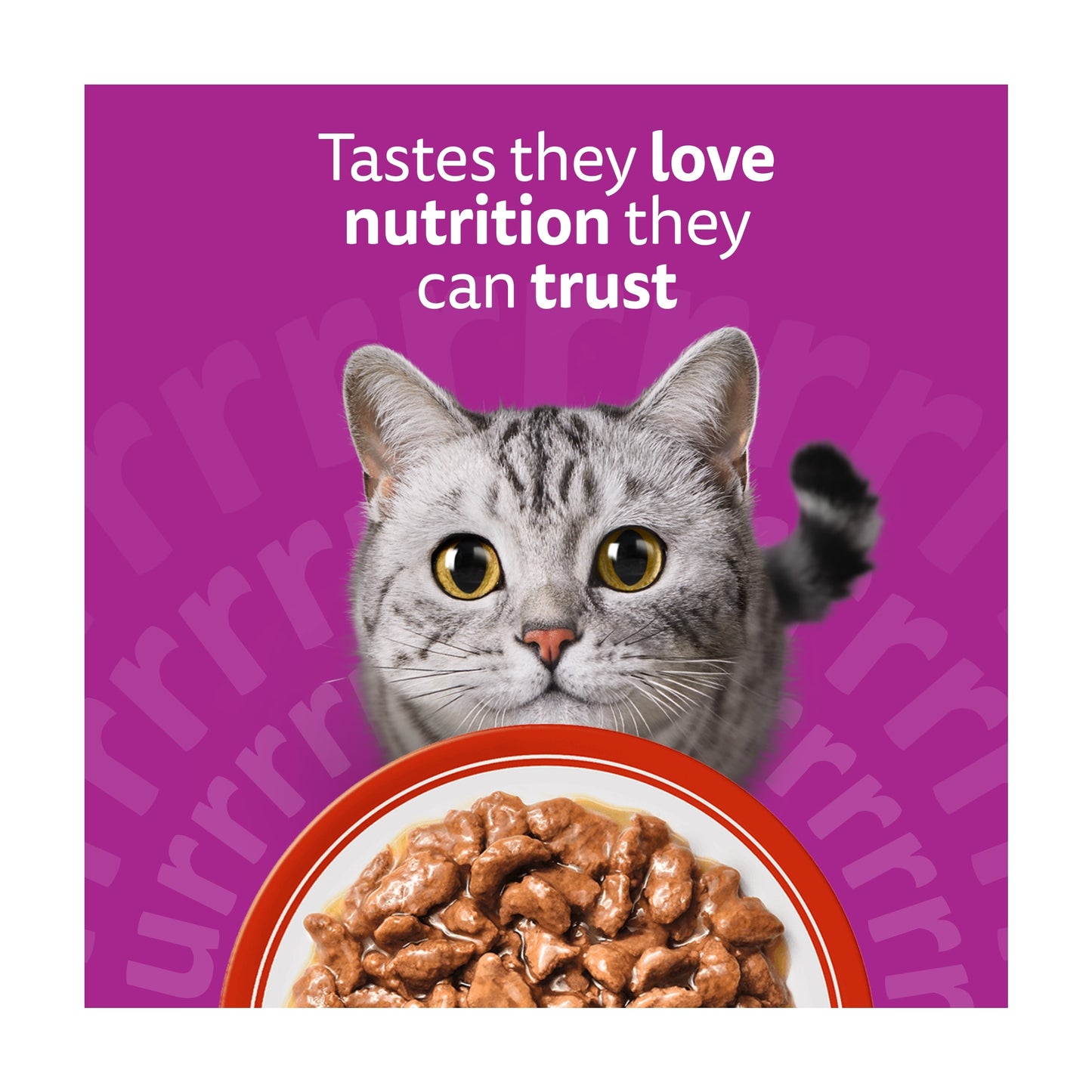 Whiskas Adult Wet Cat Food Pouches Meaty Meals in Gravy 12x85g — image 4