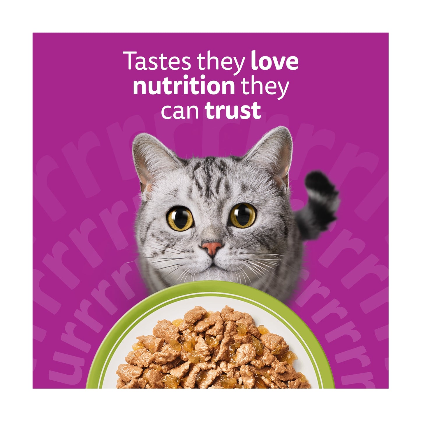 Whiskas Adult Wet Cat Food Pouches Mixed Menu in Jelly 12x85g — image 4