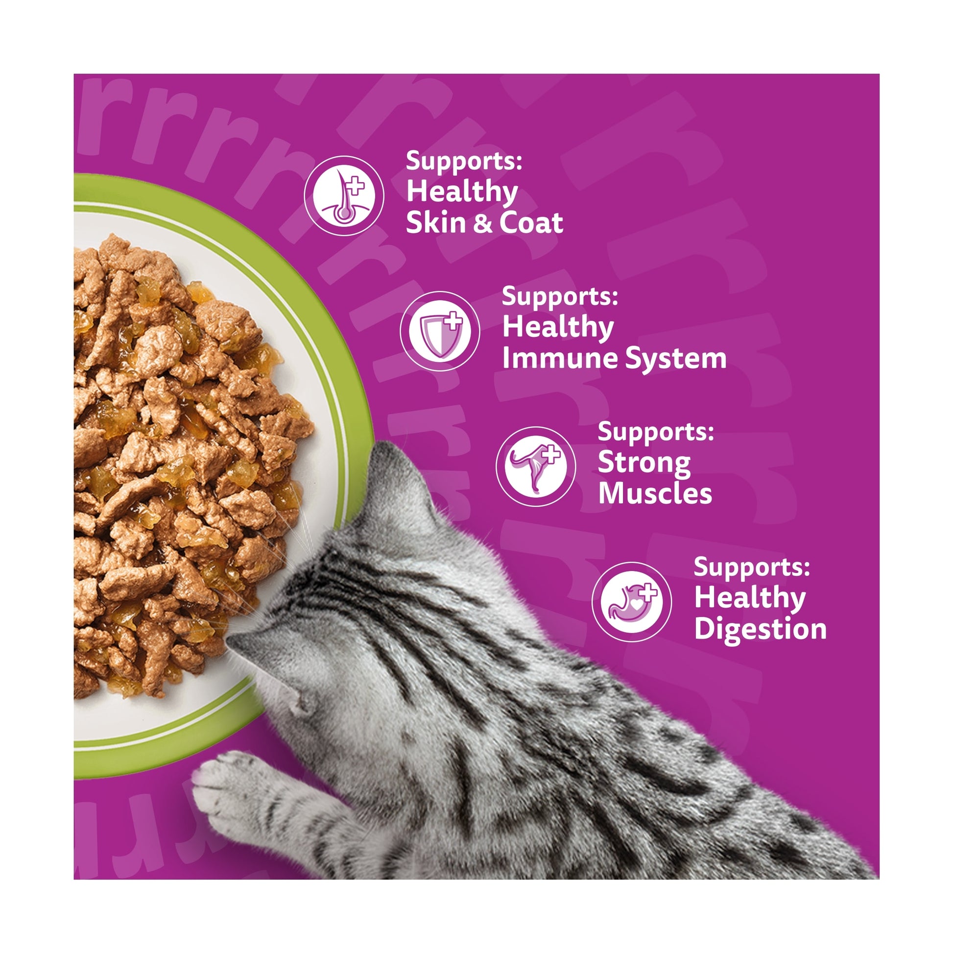 Whiskas Adult Wet Cat Food Pouches Mixed Menu in Jelly 40x85g — image 3