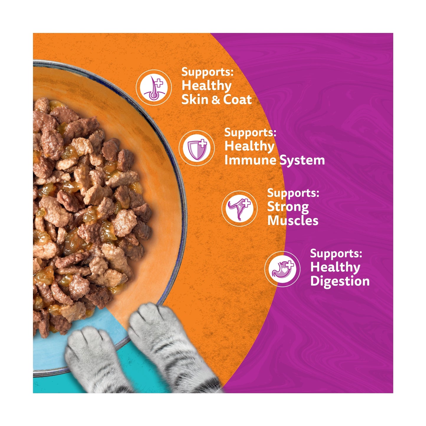 Whiskas Duo Surf & Turf Adult Cat Food Pouches in Jelly 12x85g — image 3