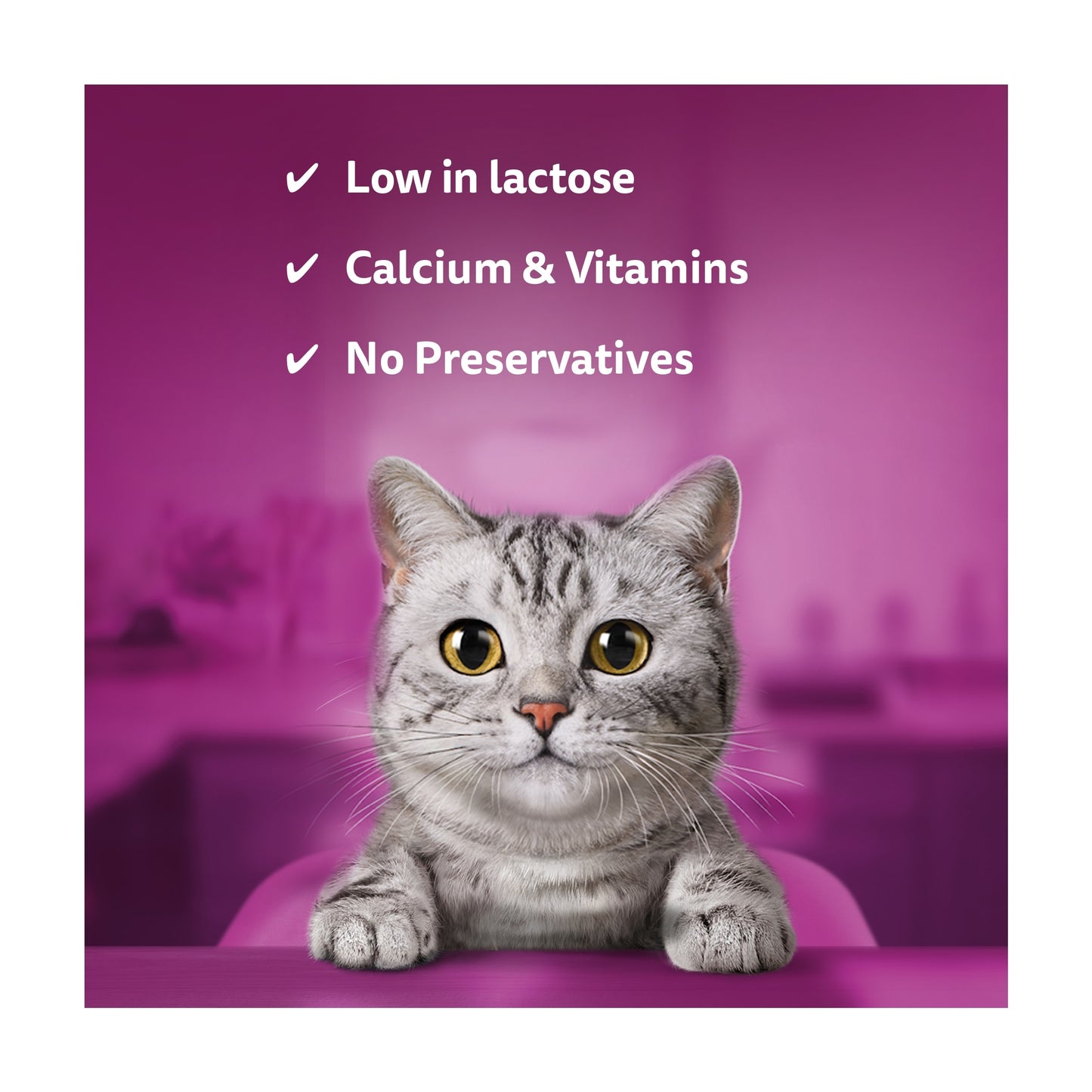 Whiskas Kitten Cat Milk Bottle 3 Pack x 200ml — image 2