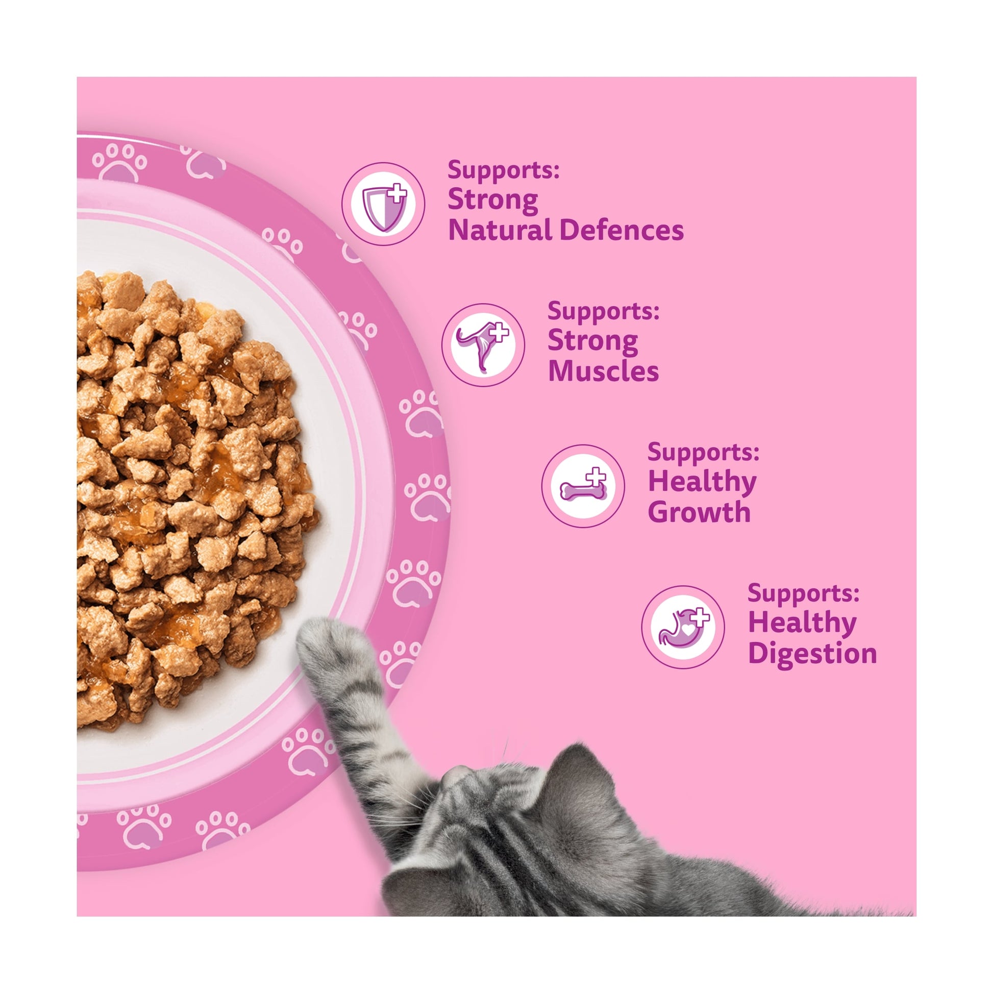 Whiskas Kitten Wet Cat Food Pouches Fish Favourites in Jelly 12x85g — image 3