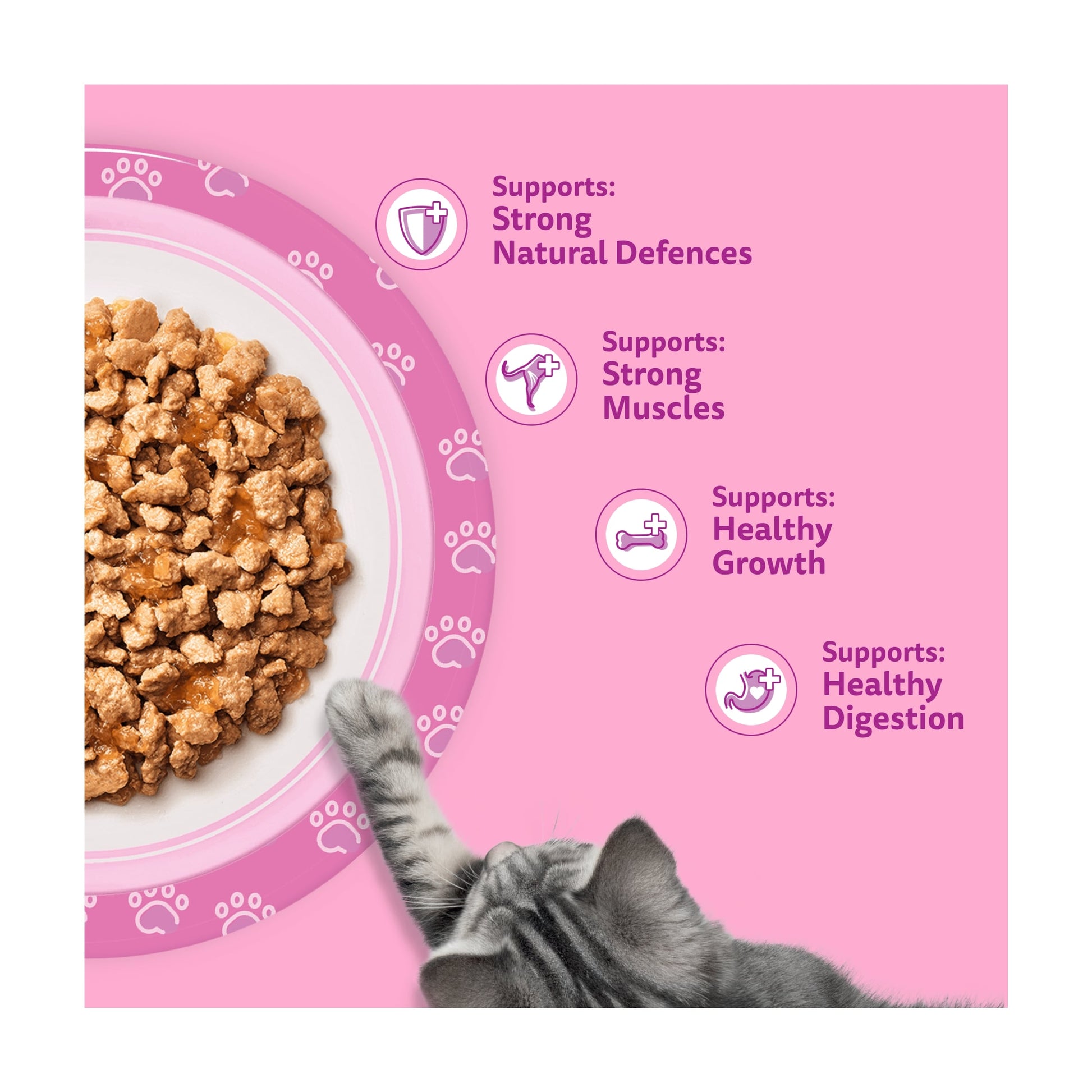 Whiskas Kitten Wet Cat Food Pouches Poultry Feasts In Jelly 12x85g — image 3