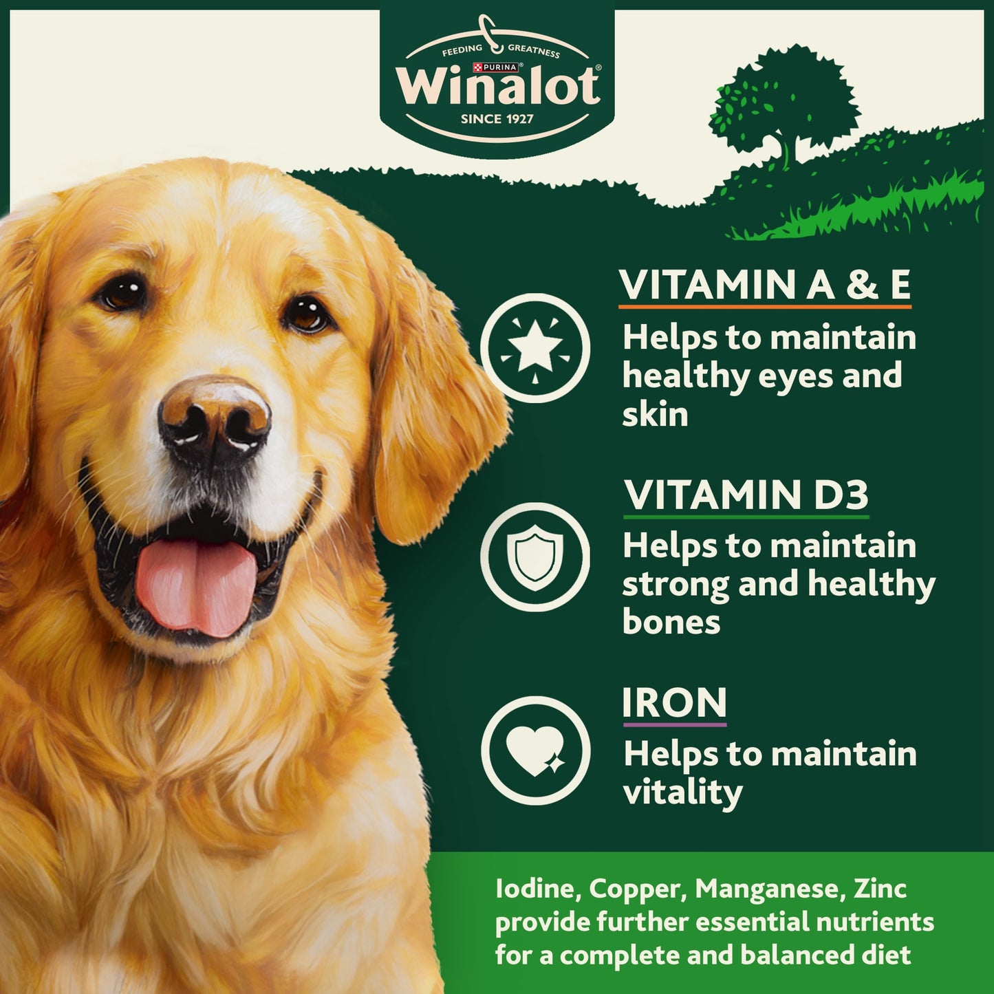 WINALOT® Classics Meat in Jelly Wet Dog Food 6x400g — image 4