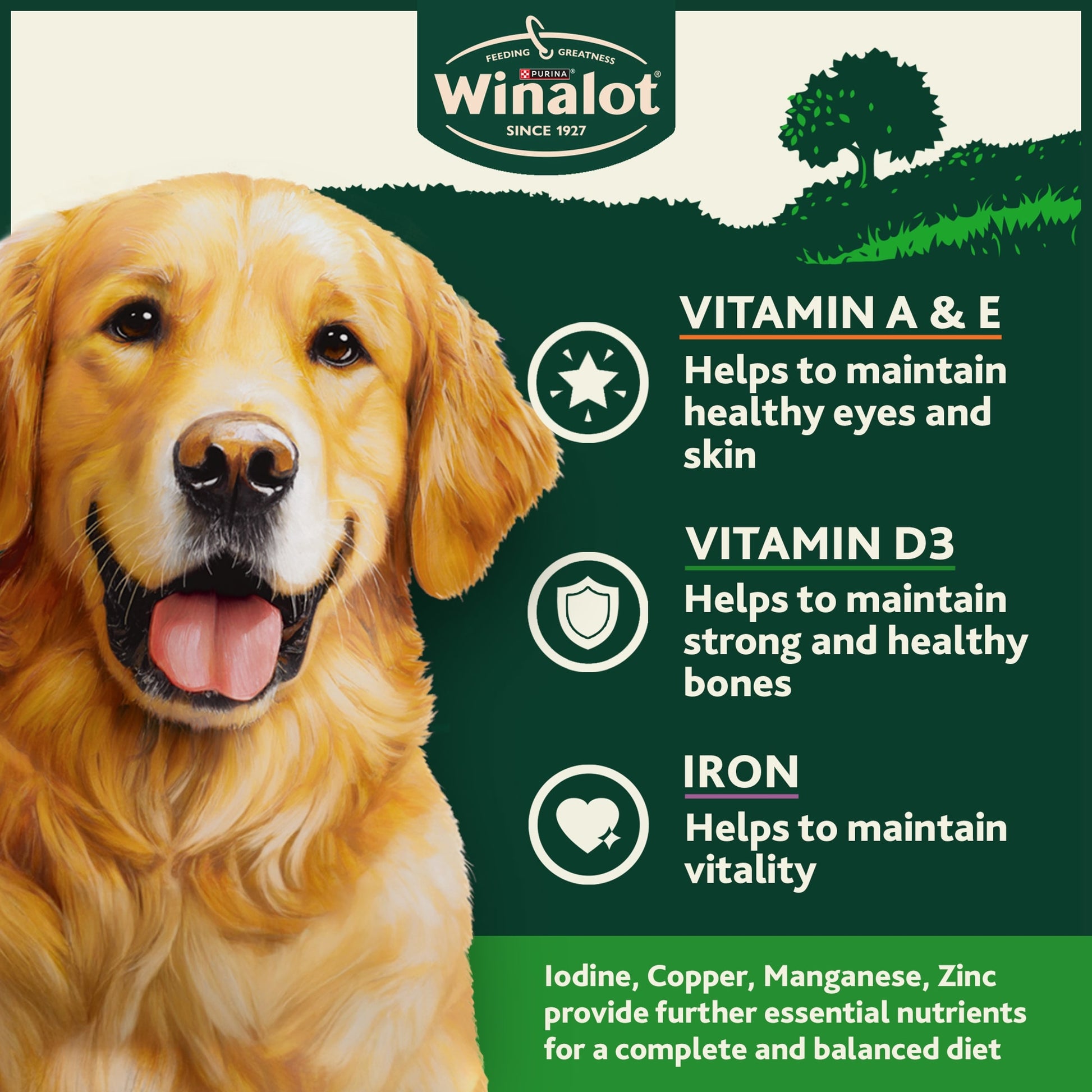 WINALOT® Classics Mixed in Jelly Wet Dog Food 6x400g — image 4