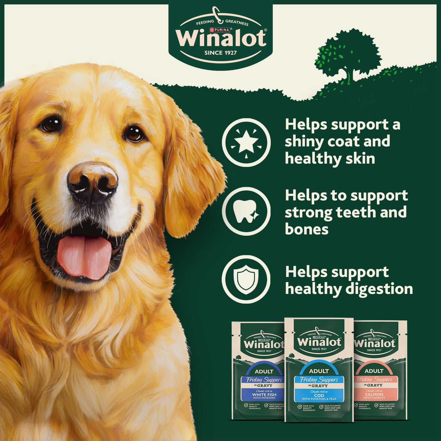 WINALOT Friday Suppers Mixed Variety Fish in Gravy Wet Dog Food 12x100g — image 4