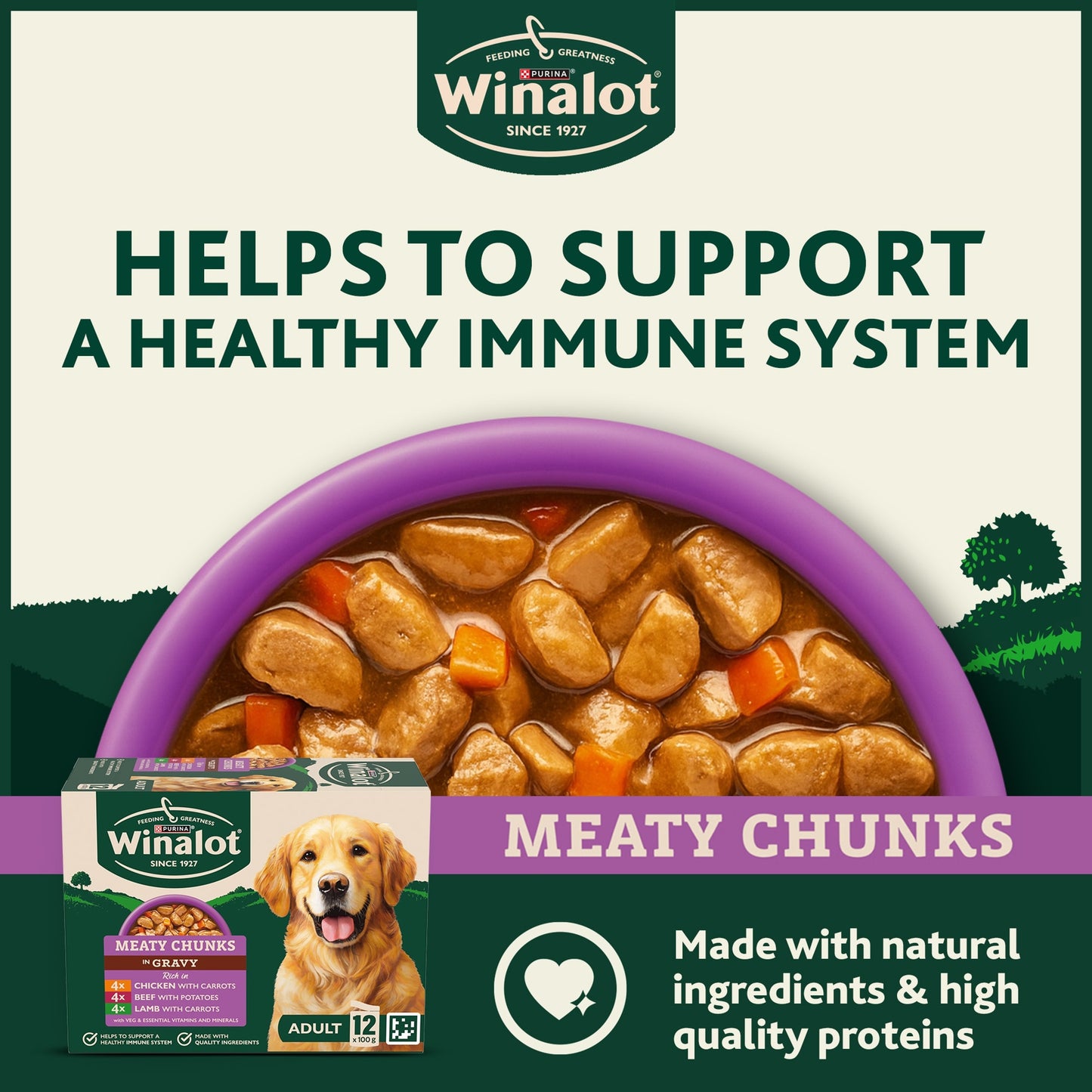 WINALOT Meaty Chunks Mixed in Gravy Wet Dog Food 12x100g — image 3