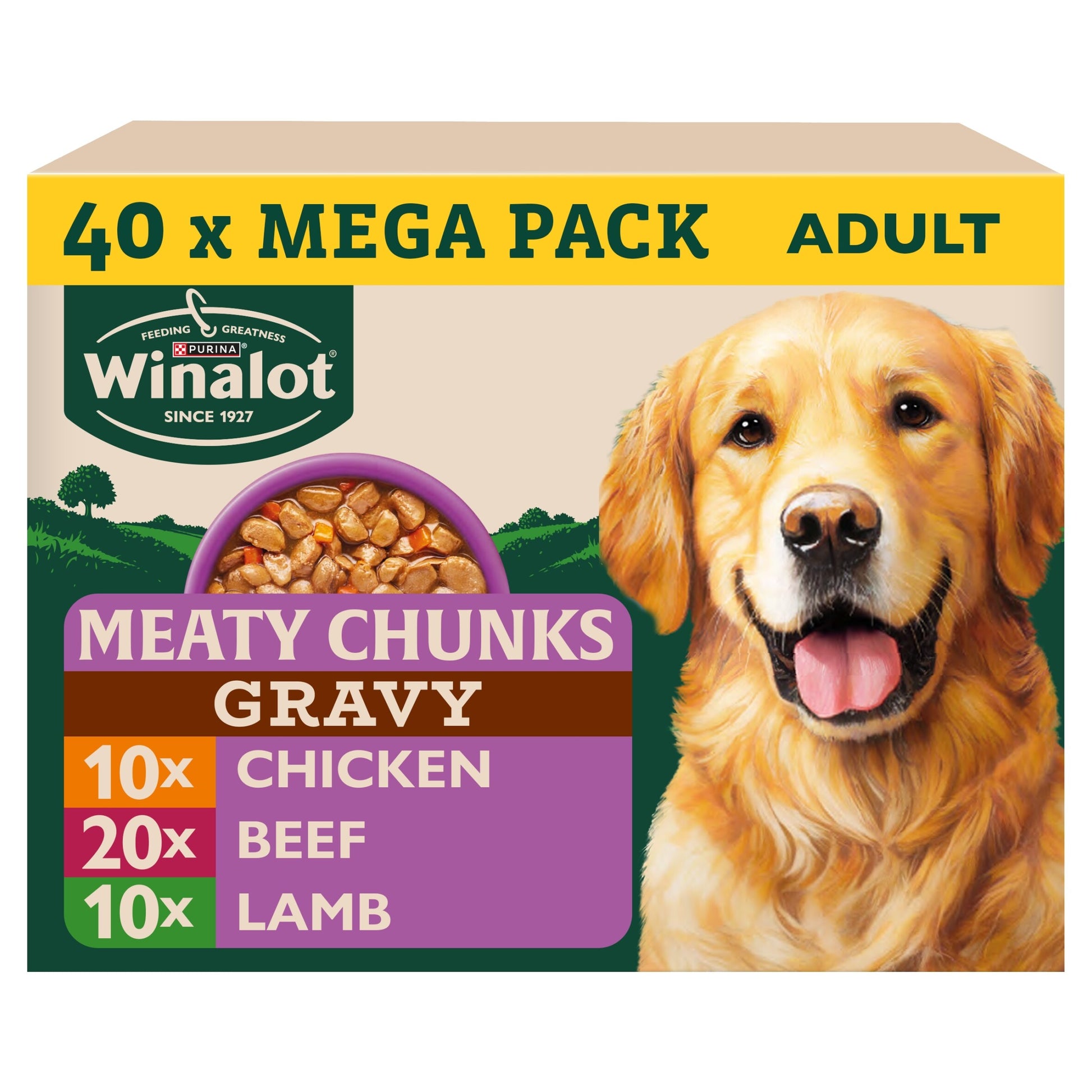 WINALOT Meaty Chunks Mixed in Gravy Wet Dog Food 40x100g — image 1