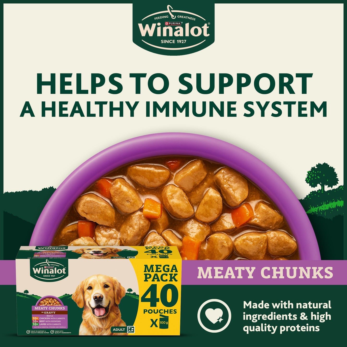 WINALOT Meaty Chunks Mixed in Gravy Wet Dog Food 40x100g — image 3