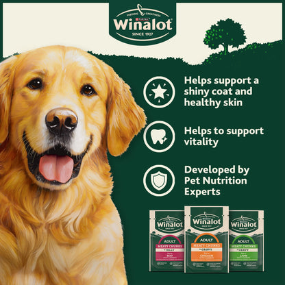 WINALOT Meaty Chunks Mixed in Gravy Wet Dog Food 40x100g — image 4