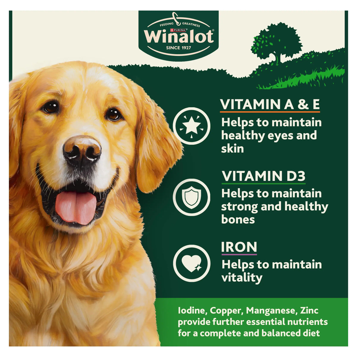 WINALOT Meaty Chunks Mixed in Gravy Wet Dog Food 6x400g — image 3