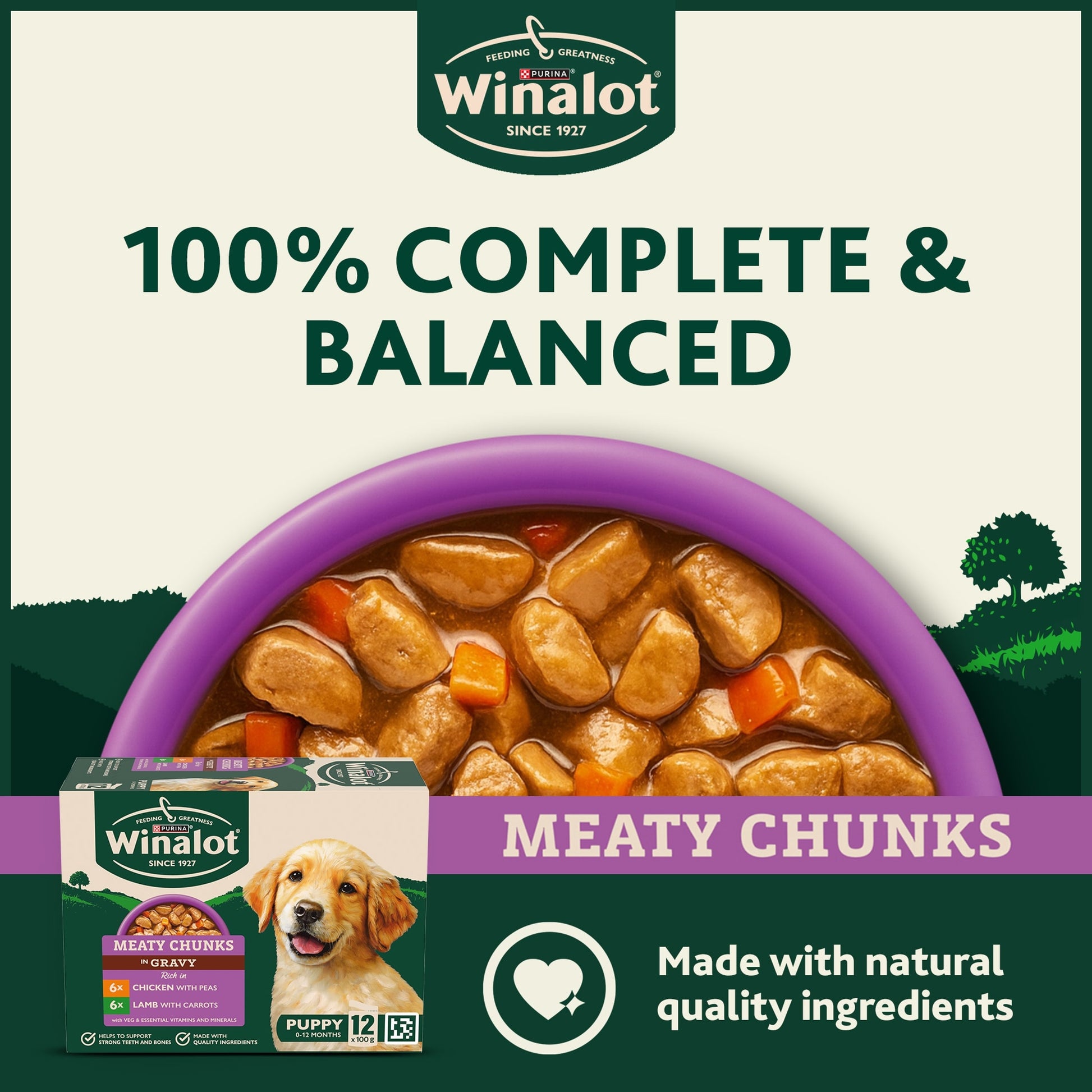 WINALOT Meaty Chunks Puppy Mixed in Gravy Wet Dog Food 12x100g — image 3