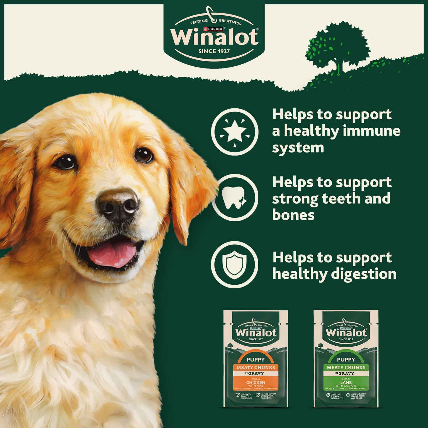 WINALOT Meaty Chunks Puppy Mixed in Gravy Wet Dog Food 12x100g — image 4