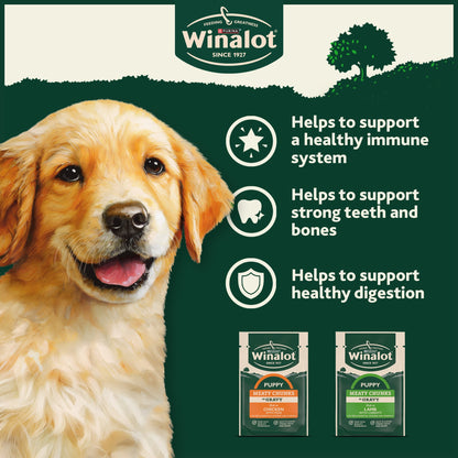 WINALOT Meaty Chunks Puppy Mixed in Gravy Wet Dog Food 12x100g — image 4