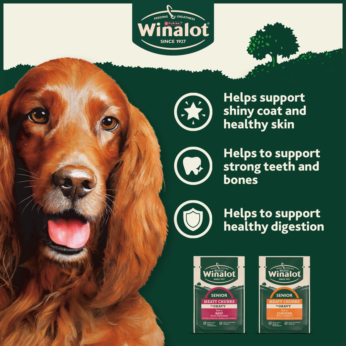 WINALOT Meaty Chunks Senior Mixed in Gravy Wet Dog Food 12x100g — image 4