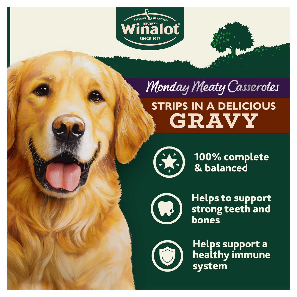 WINALOT Monday Meaty Casseroles Chicken, Turkey, Duck in Gravy Wet Dog Food 12 x 85g — image 4
