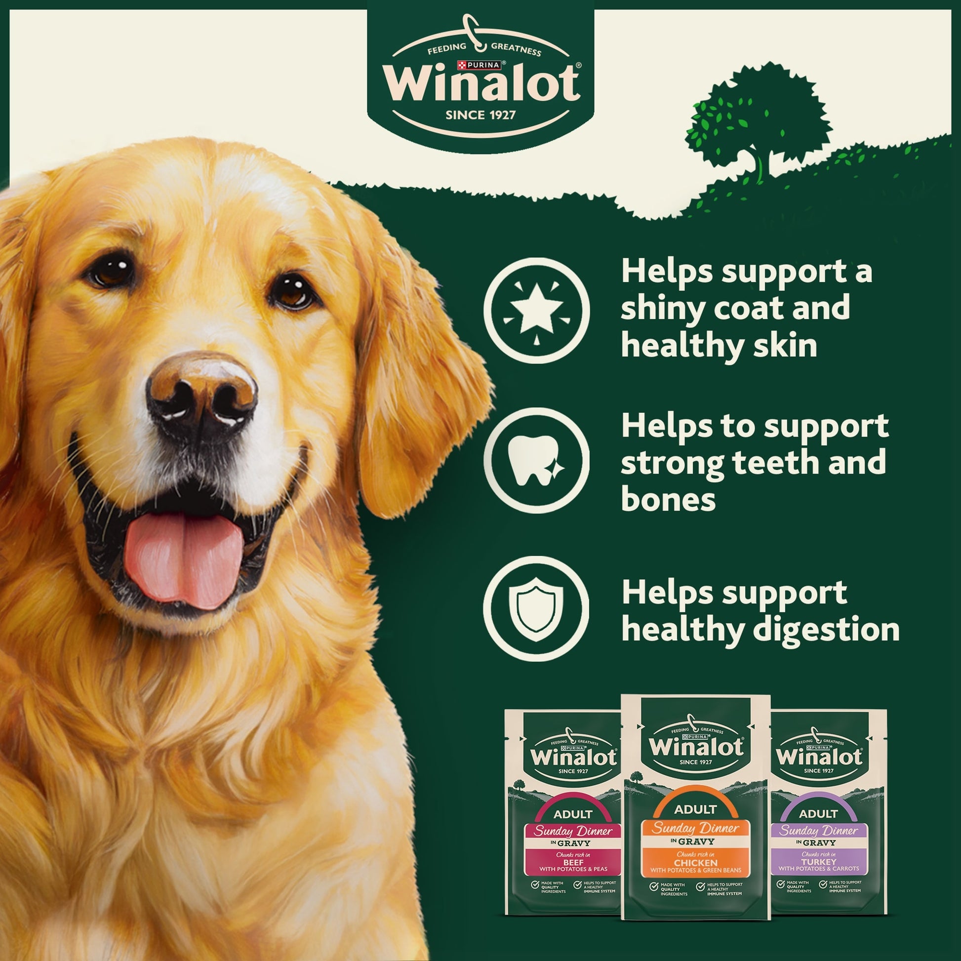 WINALOT Sunday Dinner Mixed in Gravy Wet Dog Food 40x100g — image 4