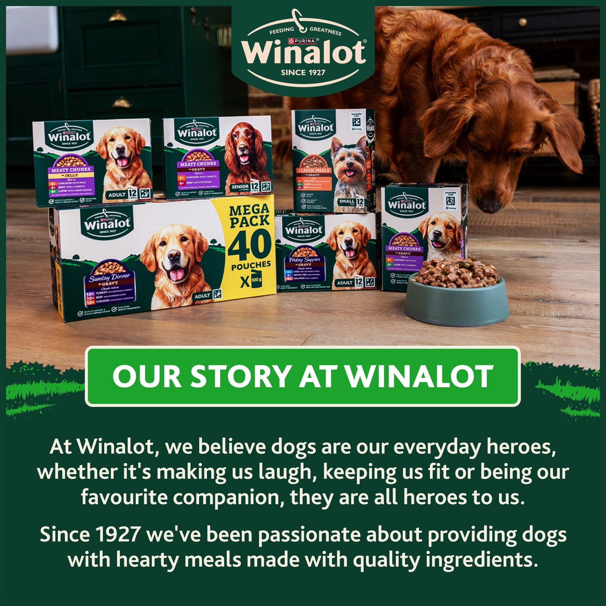 WINALOT Sunday Dinner Mixed in Gravy Wet Dog Food 40x100g — image 7