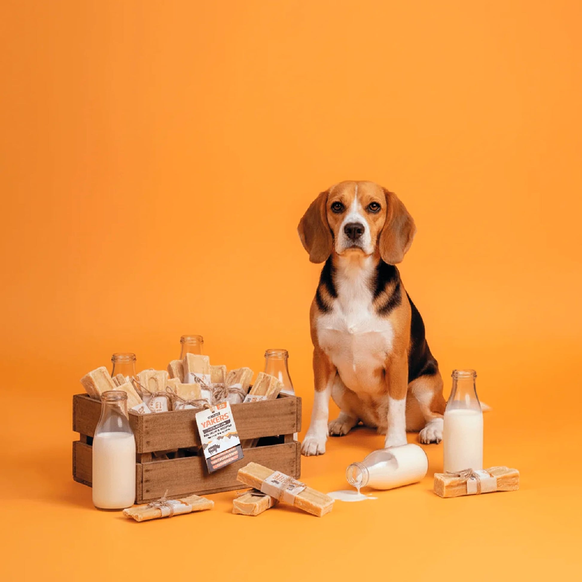 Yakers The Original 100% Natural Dog Chew & Occupier Medium — image 4