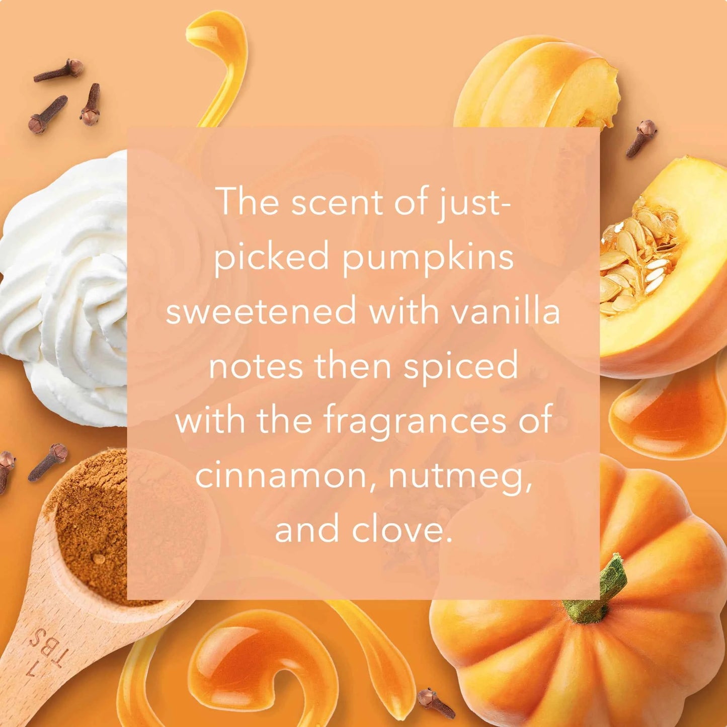 YANKee CANDLe Large Jar Pumpkin Harvest 538g