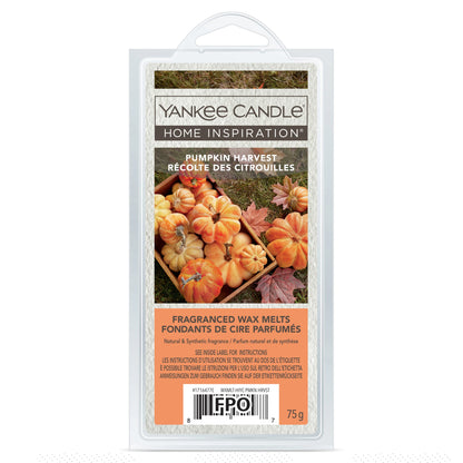 Yankee Candle Pumpkin Harvest 6 Wax Melts 75G — image 1