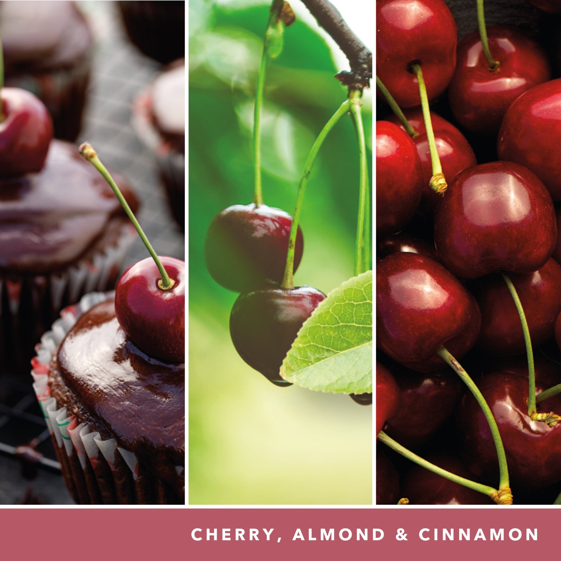 Yankee Candle Signature Black Cherry Medium Candle 368g — image 3