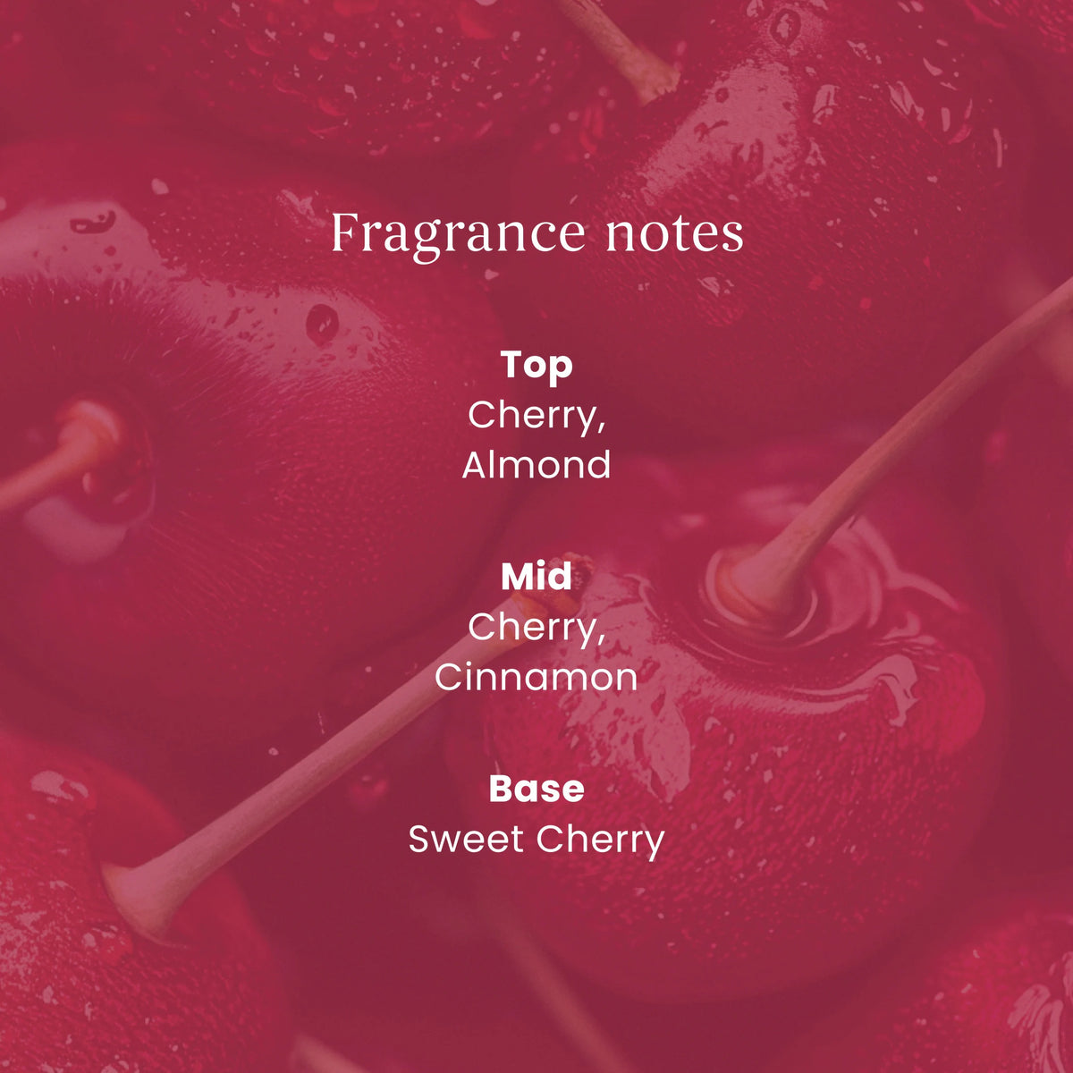Yankee Candle Signature Black Cherry Small Candle 110g — image 2