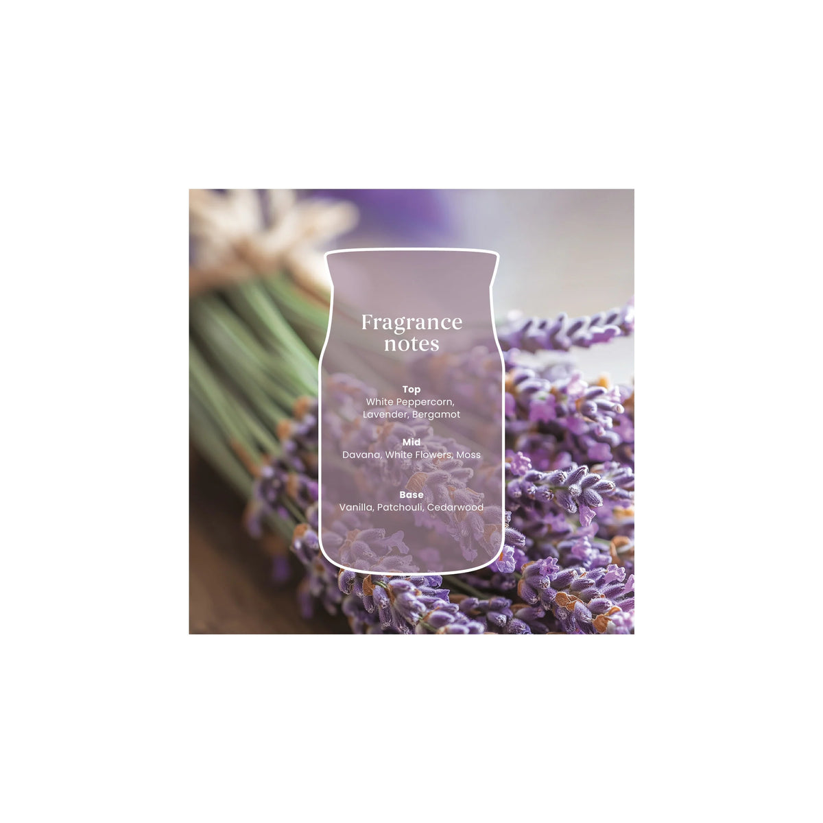 Yankee Candle Signature Dried Lavender & Oak Medium Jar 368g — image 2