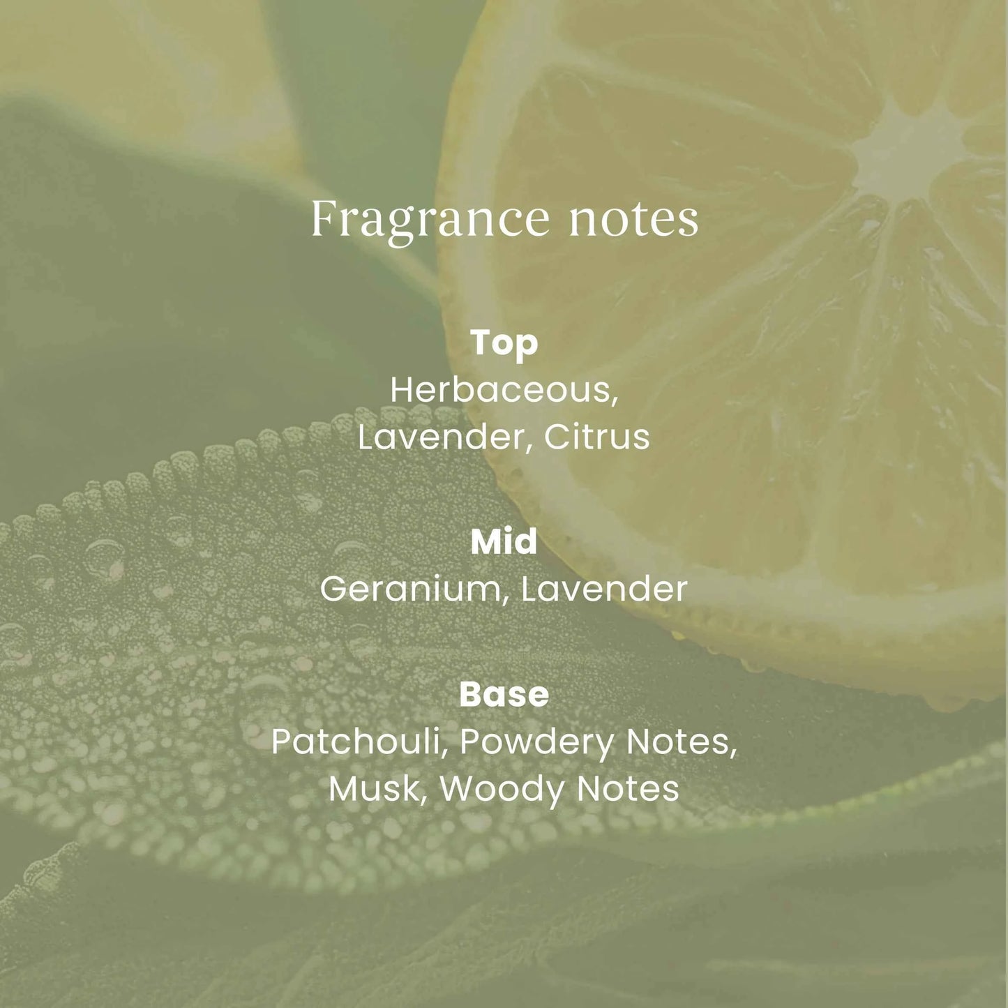 YANKee CANDLe Signature Sage & Citrus Small