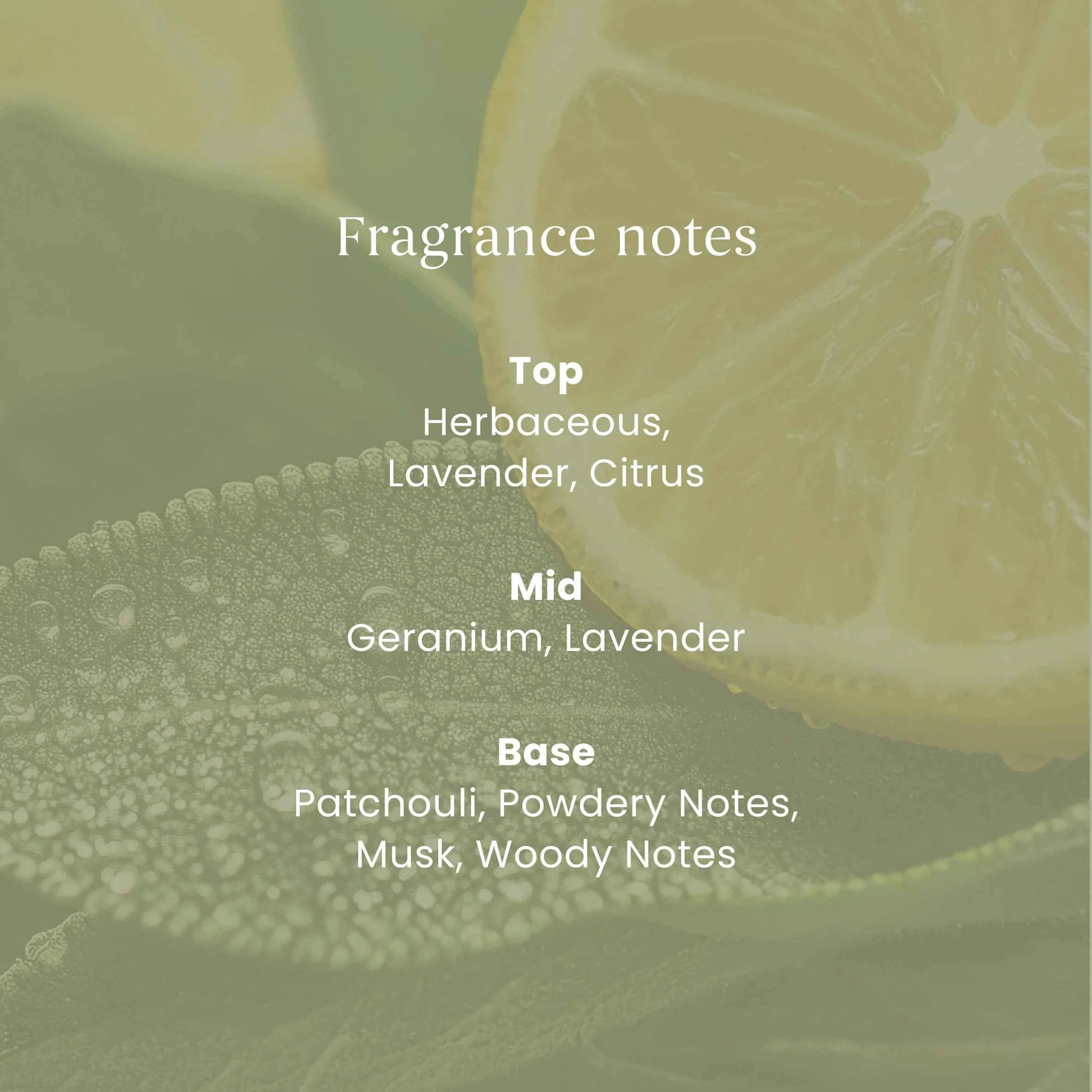 YANKee CANDLe Signature Sage & Citrus Small