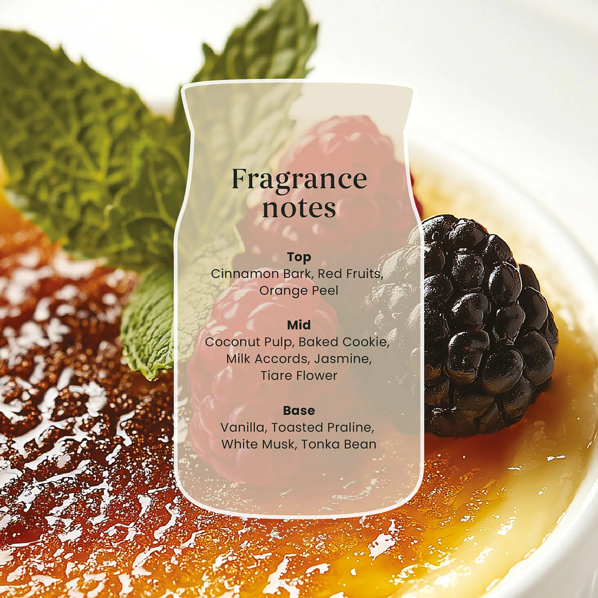 Yankee Candle Signature Vanilla Crème Brulee Large Jar 567G — image 2