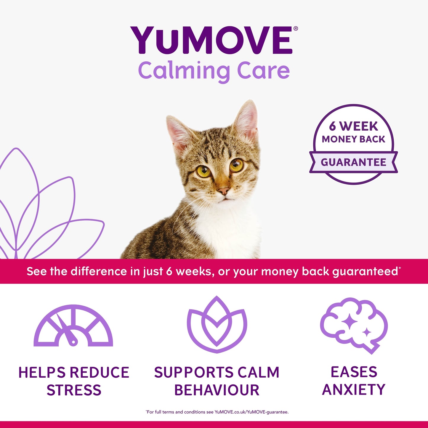 YuMove Calming Care Cats 30pk 12g — image 2