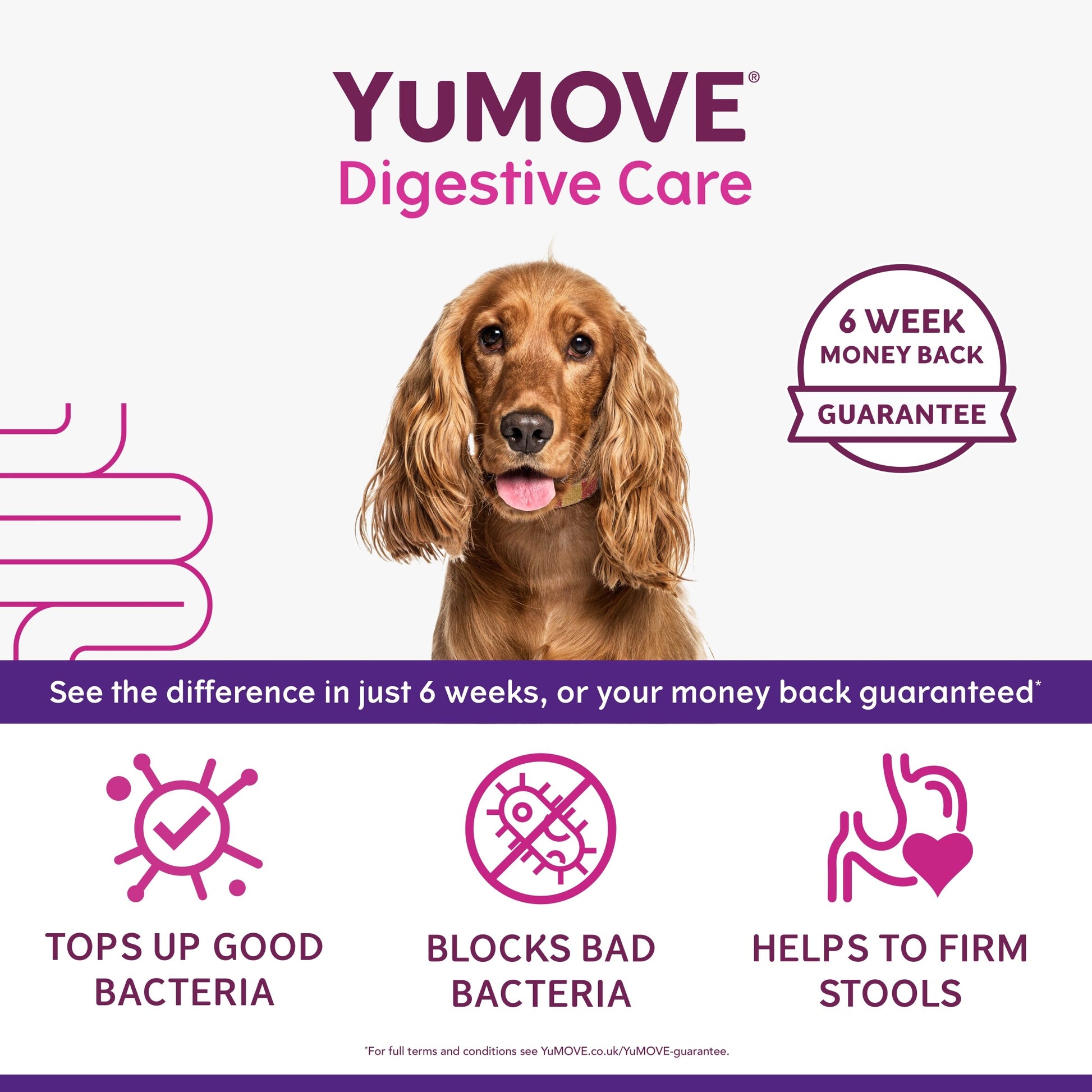 YuMove Digestive Care For Dogs 60 Tablets 49g — image 2